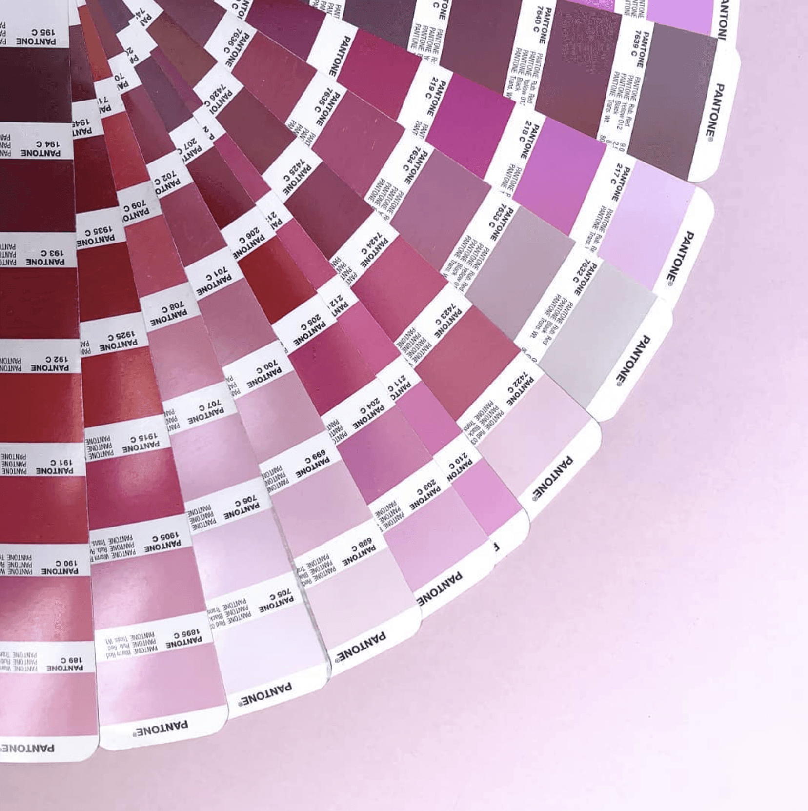 פנטונים וניאון